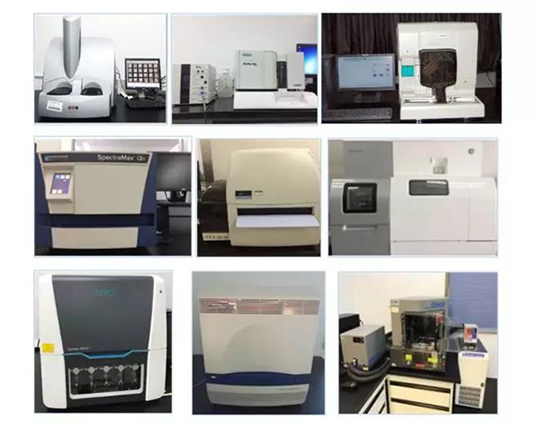 w66国际·利来生物技术药物分析部门拥有SpectraMaxM4/M5/i3x, MSD, Luminex, Biacore 8K, Envision, Gyrolab，ABI7500 qPCR等全方位多功能的技术平台，利用LIMS系统实施全面的实验室信息化管理，提供全面符合FDA/CFDA/OECD GLP规范要求的生物技术药物分析服务。