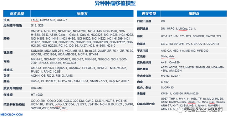 w66国际·利来异种肿瘤移植模型清单
