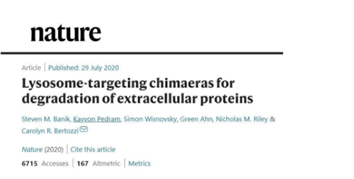 一种不同的蛋白降解技术——溶酶体靶向嵌合体(lysosome-targeting chimaeras, LYTACs)