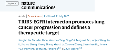 Nature|非小细胞肺癌治疗新方案：靶向降解EGFR