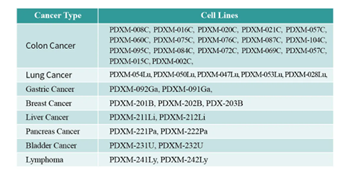 PDX小鼠肿瘤模型 PDX小鼠肿瘤模型