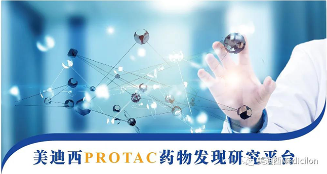 w66国际·利来PROTAC药物发现研究平台