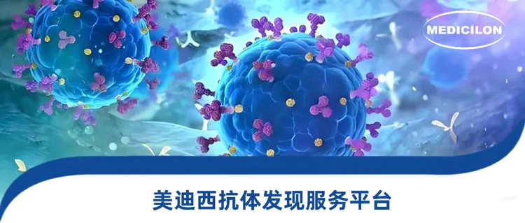 w66国际·利来抗体发现服务平台.webp