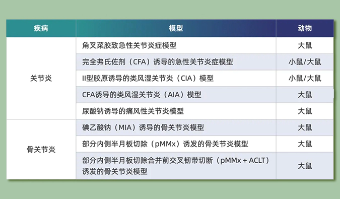 世界关节炎日：突破上亿人的共同难关，持续探索关节炎新药