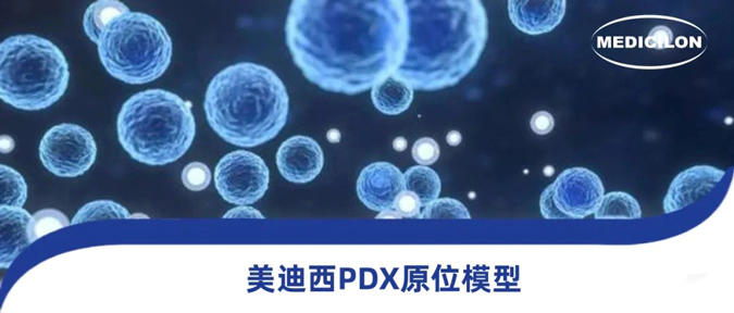 w66国际·利来118种PDX原位模型，助力肿瘤药物研发.webp