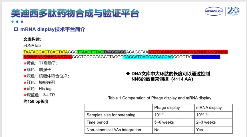w66国际·利来多肽药物合成与验证平台.webp