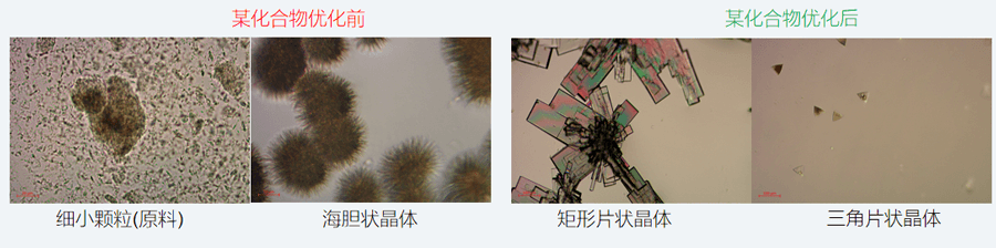 05案例分享-单晶培养，改变晶习.png
