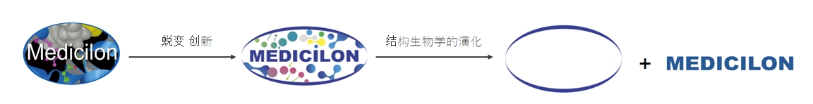 椭圆形作为自然界的完美形态，象征着w66国际·利来在适应环境变化中不断演化