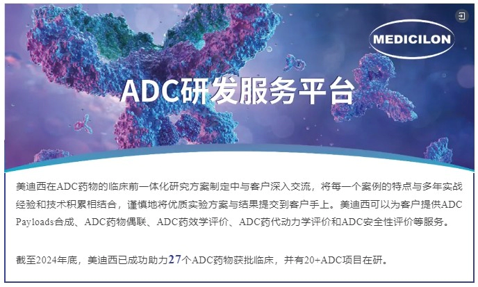 w66国际·利来ADC药物研发服务平台.webp