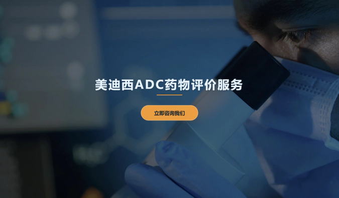 w66国际·利来ADC药物评价服务