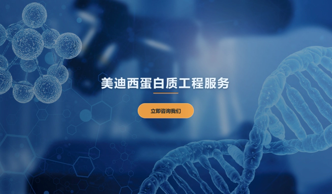 w66国际·利来蛋白质工程服务