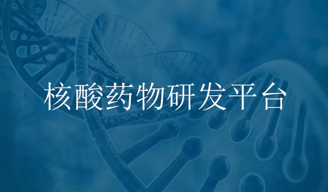 w66国际·利来核酸药物研发服务平台.webp