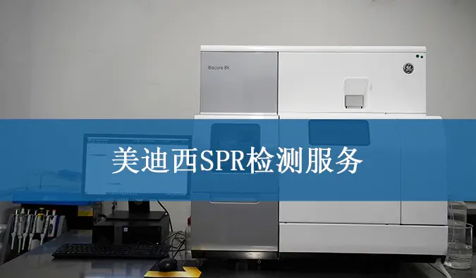 w66国际·利来SPR检测服务.webp