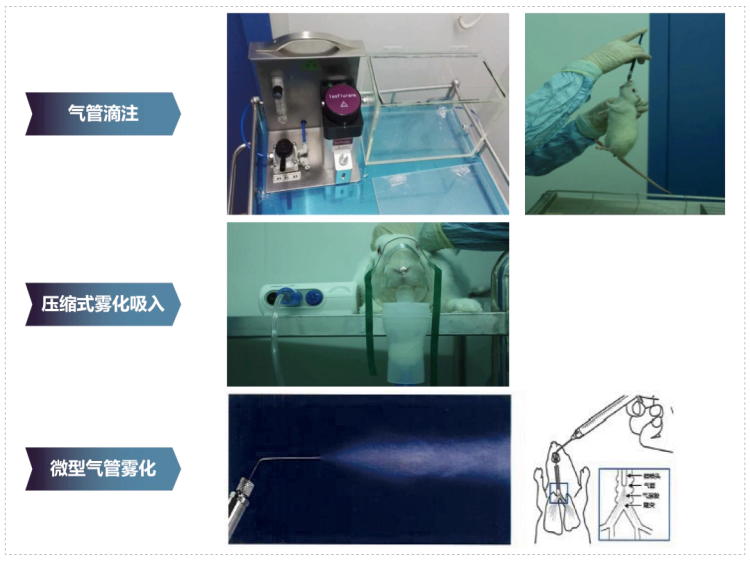 w66国际·利来其它吸入给药方式.webp