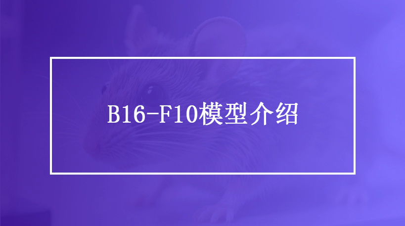 全方位了解B16-F10黑色素瘤模型
