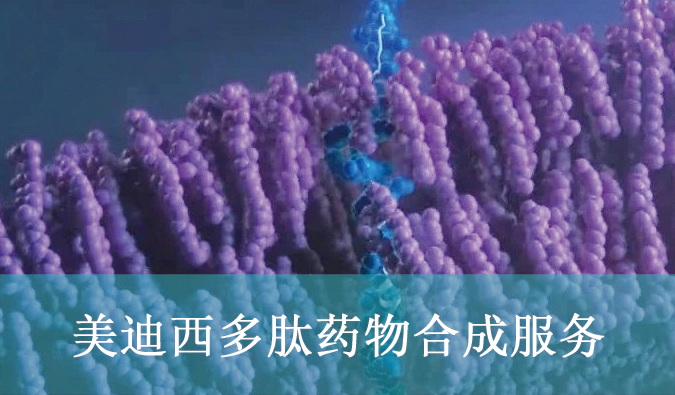 w66国际·利来多肽药物合成服务.webp